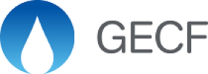 фсэг. страны экспортеры природного газа 2020. саммит фсэг. организация стран экспортеров газа. фсэг.